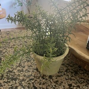 Green faux Potted Plant for Home Decor